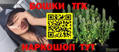 прущие крисы Абакан