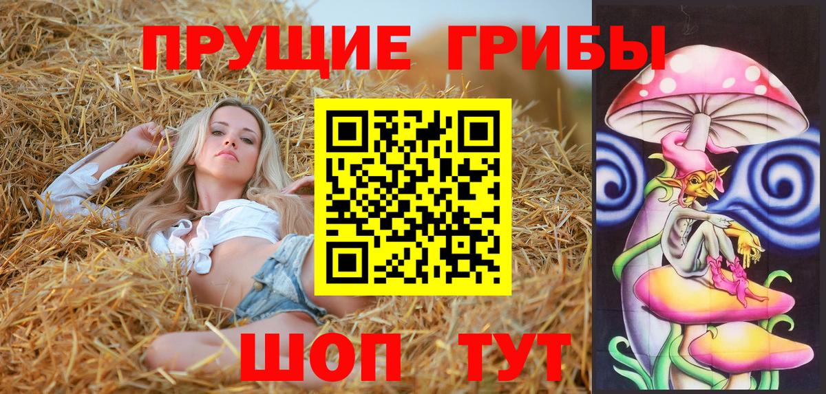 где найти наркотики  Вход с VPN  Апатиты  Псилоцибиновые грибы MAGIC MUSHROOMS 